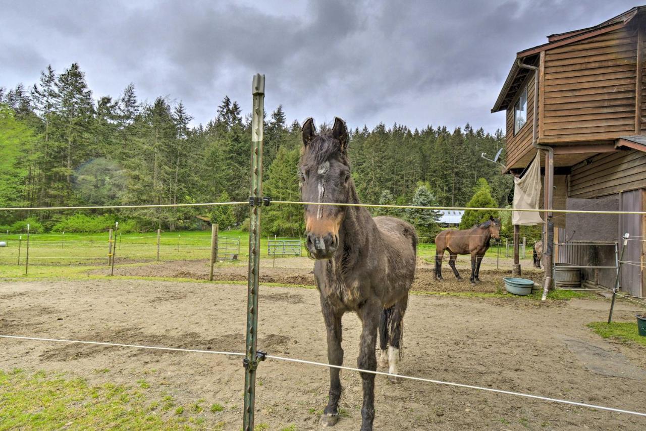 Peaceful Cabin On Horse Farm, 5 Mi To Town! Villa Port Townsend Luaran gambar