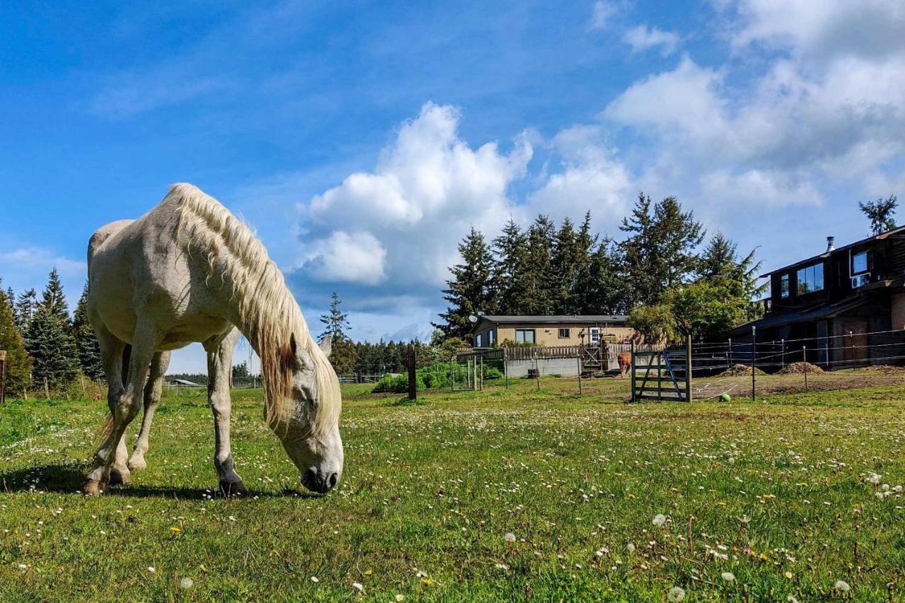 Peaceful Cabin On Horse Farm, 5 Mi To Town! Villa Port Townsend Luaran gambar